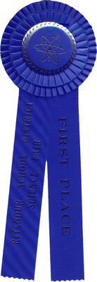 1stplace_ribbon.jpg