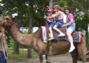 camel_ride3.gif